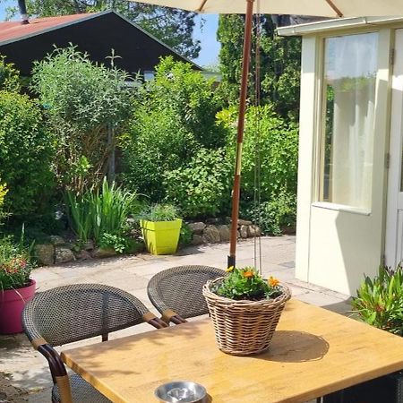 Zonnig Zuid Βίλα Dirkshorn Εξωτερικό φωτογραφία