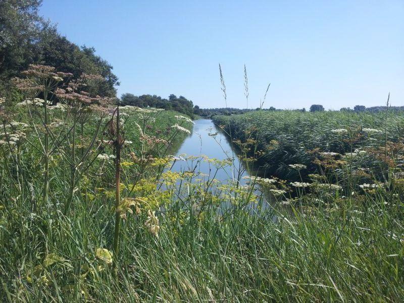 Zonnig Zuid Βίλα Dirkshorn Δωμάτιο φωτογραφία